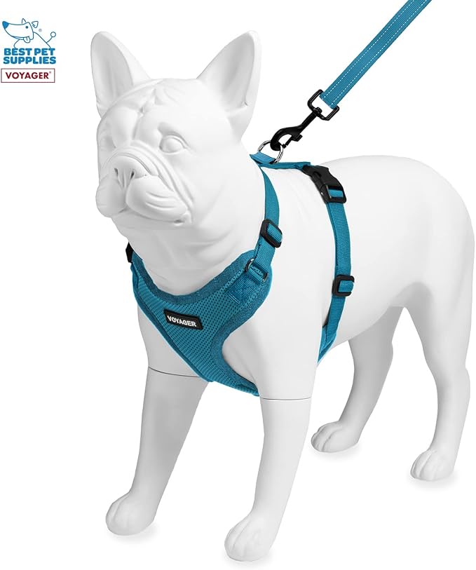 Best Pet Supplies Voyager Step-in Lock Pet Harness w Reflective Pet Leash Combo Set with Neoprene Handle 5ft - Supports Small, Medium and Large Breed Puppies/Cats - Turquoise Set, XS