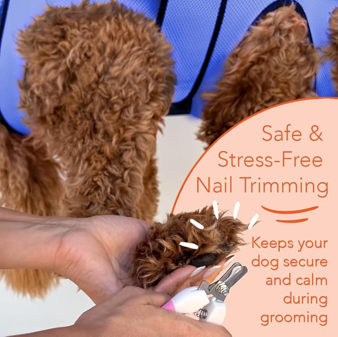 PawsUp Pet Grooming Hammock Kit for Large Dogs, 4-in-1 Professional Grooming Sling for Nail Trimming, Includes Heavy Duty Clipper, Nail File, and Steel Comb – Blue