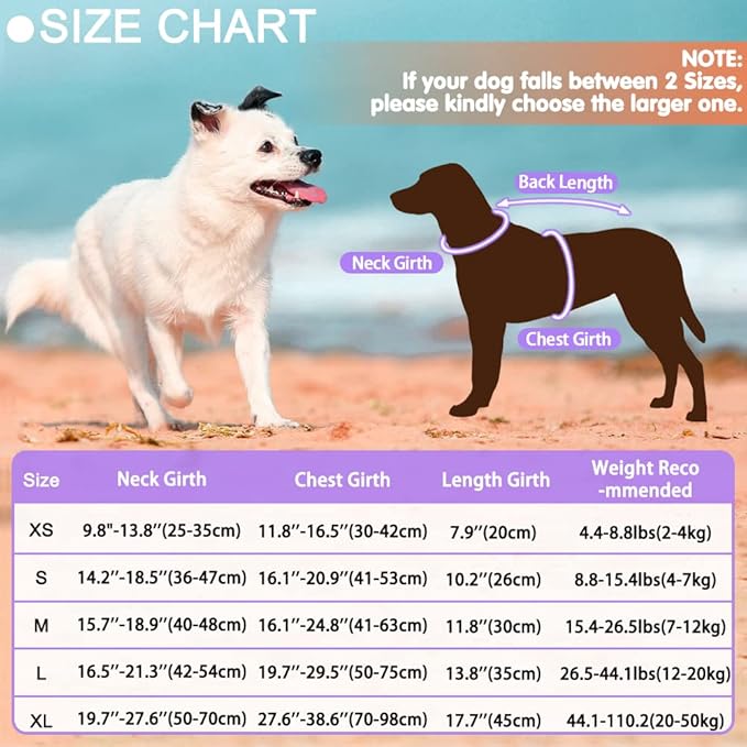 EMUST Dog Life Jacket Mermaid, Ripstop Dog Life Vests with Rescue Handle for Small Medium and Large Dogs, Pet Safety Swimsuit Preserver for Swimming Pool Beach Boating, PurpleMermaid, XS