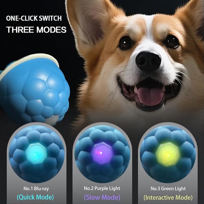 Power Tail 2.0 Automatic Moving Dog Ball - Interactive Dog Toy | Self-Rolling, Motion Activated Electric Pet Ball to Keep Dogs Busy & Relieve Boredom (Suitable for All Dog Breeds)