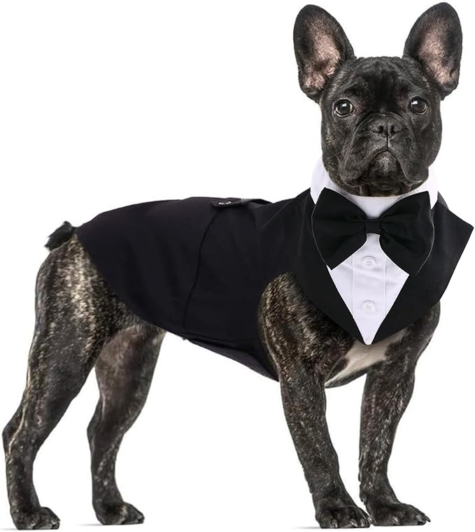 QBLEEV Dog Tuxedo Suit with Bow Tie, Formal Dog Tux Costume and Bandana Set for Wedding Outfit Birthday Party Cosplay Photo Shoot, Doggy Prince Attire for Chihuahua Yorkie Shih Tzu Pomeranian