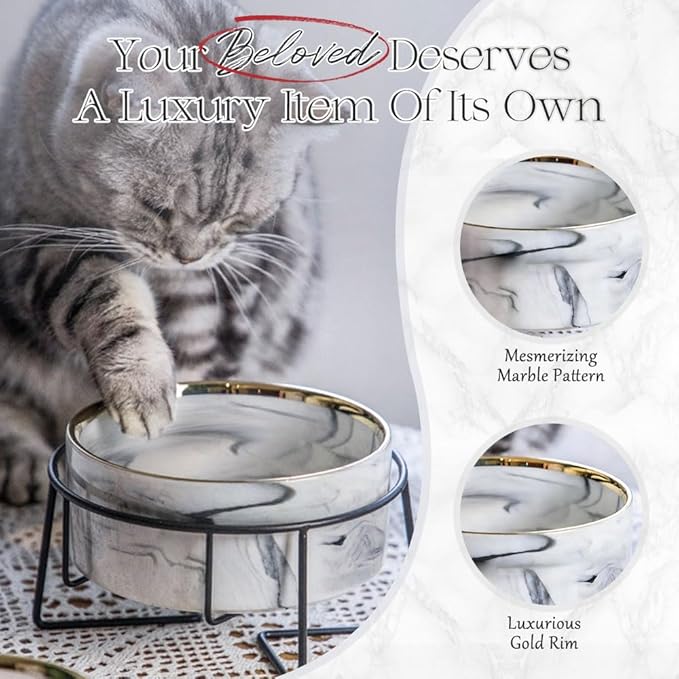 Dazzling Ceramic Elevated Cat Bowls, Gift for Cat Owner, Birthday (Medium,Grey)