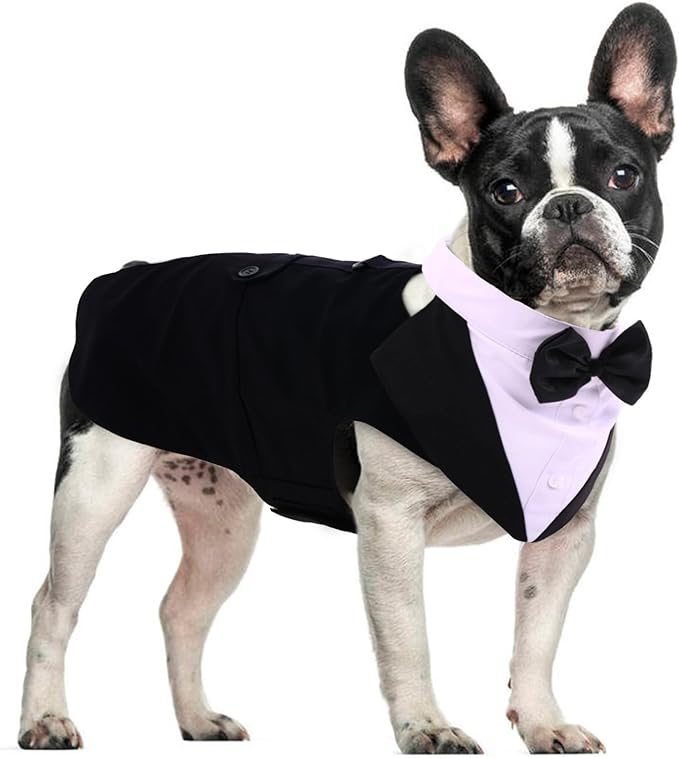 DORA BRIDAL Dog Tuxedo for Small Dogs,Dog Suit and Bowtie, Formal Dogs Wedding Outfit, Pet Tuxedo and Bandana Set Valentines Birthday Christmas Party Costumes for French Bulldog, Pomeranian, Black,S