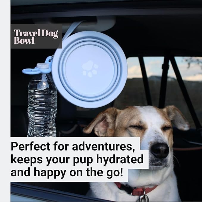 3-in-1 Travel Dog Bowl Set – 30 OZ Stainless Steel + 20 OZ Collapsible Water Bowl Lid | BPA-Free, Anti-Slip, Portable Dog Bowl w/Handle/Poop Bag Holder with Carabiner | Pink Bowls