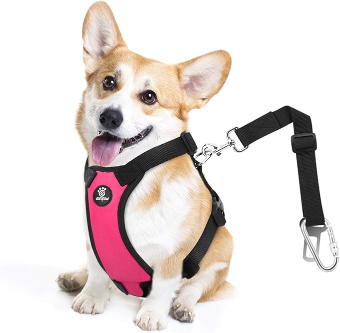 VavoPaw Dog Seat Belt, Safety Vest Dog Car Harness with Adjustable Buckle Dog Seat Belt for Vehicle Nylon Pet Safety Seat Belts Heavy Duty(M, Magenta)