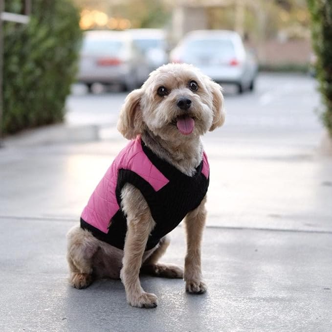 Gooby Fashion Vest Dog Jacket - Pink, X-Large - Warm Zip Up Bomber Vest with Dual D Ring Leash - Winter Water Resistant Small Dog Sweater