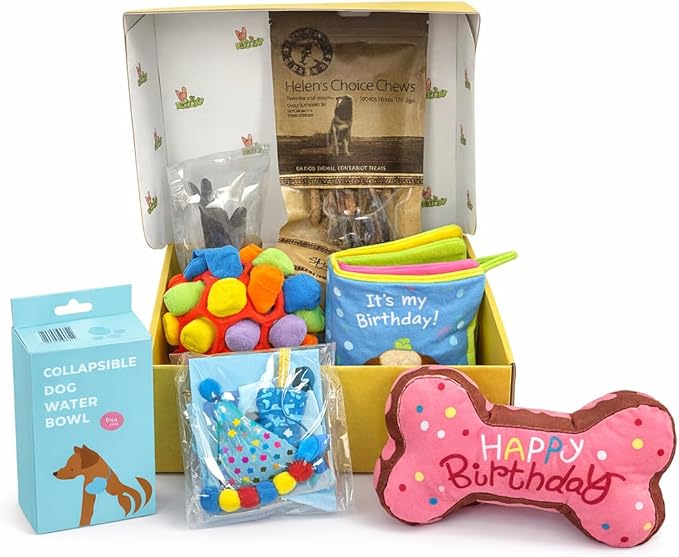 Birthday Box for Dogs, Hide & Seek Toy, Snuffle Ball, Plush Bone, Treats, Water Bottle, Hat, Bandana, All Breeds