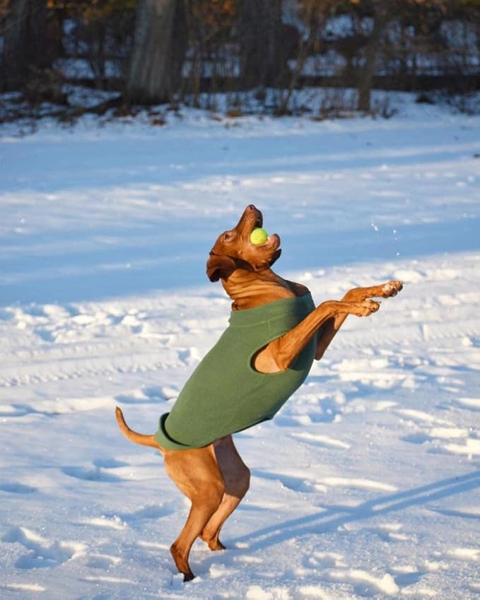 Gooby - Stretch Fleece Vest, Pullover Fleece Vest Jacket Sweater for Dogs, Pumpkin, 6X-Large
