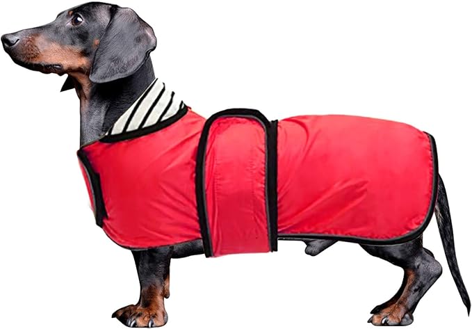 Dachshund Raincoat Corgi Raincoat Dogs Waterproof fit for Dachshunds Weiner Long Back Breeds with Reflective Stripe Great Coverage in Autumn Winter - Red - XS