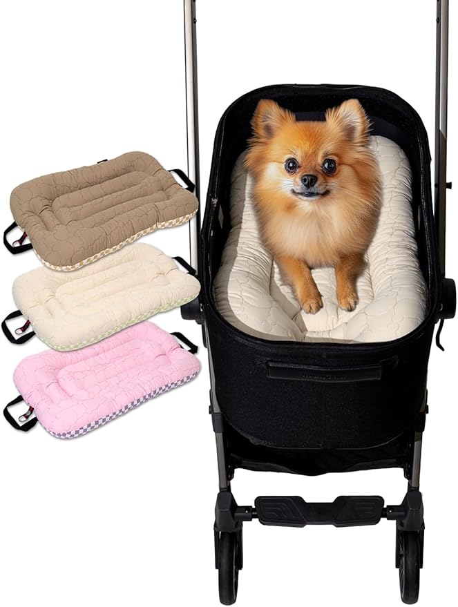 Easy Wash Dog Stroller Mat, Durable Orthopedic Cushion for Dogs & Cats, Ergonomic Pad for Pet Cart, Ideal Pet Stroller Accessories & Pads for Comfortable Rides (Ivory Mint, L)