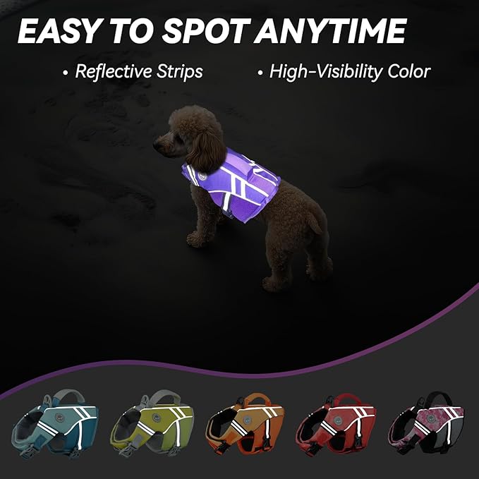 VIVAGLORY Sports Style Dog Life Vest, Dog Life Jacket for Swimming & Boating, Ripstop & Buoyancy for Puppy Doggy, Lifejacket with Handle, XS, Purple