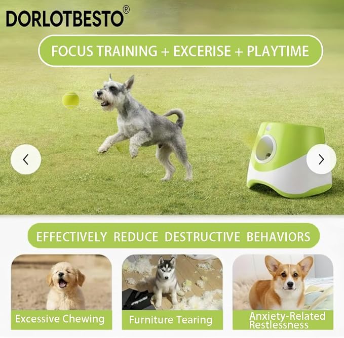 Automatic Ball Launcher