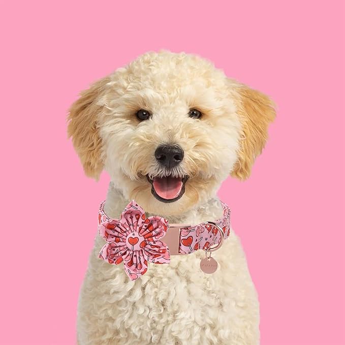 Valentine Dog Collar with Flower, Heart Flower Collar for Puppy Girl Boy Dog or Cat, Comfortable Dog Collar Flower with Durable Metal Buckle, Cute Pet Collar, S, Neck 10-16in