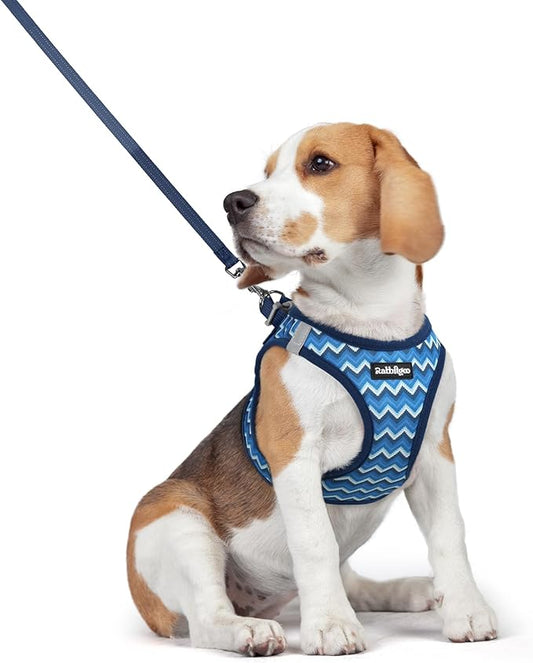 rabbitgoo Dog Harness Small Medium Sized and Leash Set, Step in Soft Light Puppy Vest, Breathable Mesh Pet Harness, Reflective for Safe Easy Walking, Blue Zigzag L