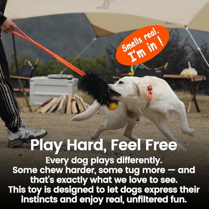 HOWGO Dog Rope Toy,Dog Bungee Chaser Toy 100% Sheepskin,Sheep Smell Tug Toy for All Breeds(Green, Long with Ball)