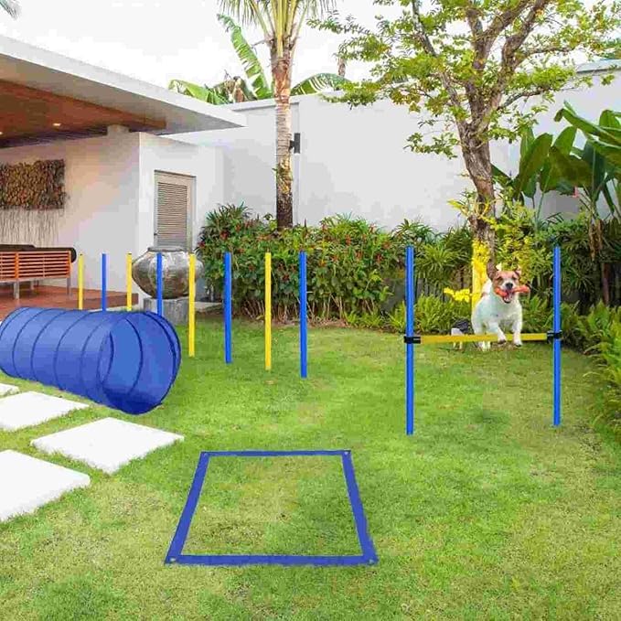 Dog Agility Training Kit with Obstacles, Tunnel, Dog House and Crate, White