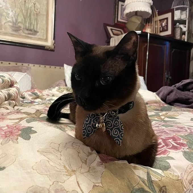 Bunny Ears Cat Collar, Japan Lucky ‘開三運’ Charm. Safety Breakaway Bowtie Kitten Collar with Bell, Light Blue