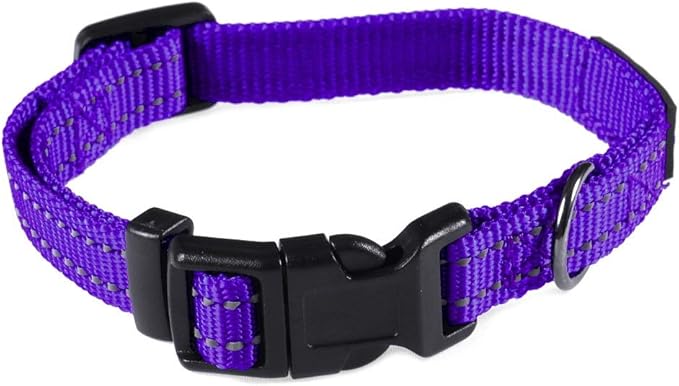 Max and Neo NEO Nylon Buckle Reflective Dog Collar - We Donate a Collar to a Dog Rescue for Every Collar Sold (X-Small, Purple)