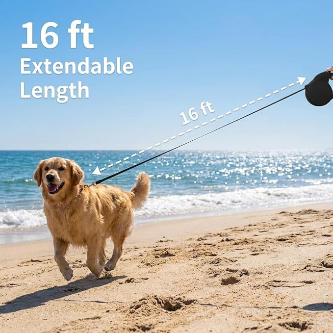 Retractable Dog Leash for Small/Medium Dogs, Cats & Puppies – Black Flexi Walking Lead with Correa para Perros (Black-Small)