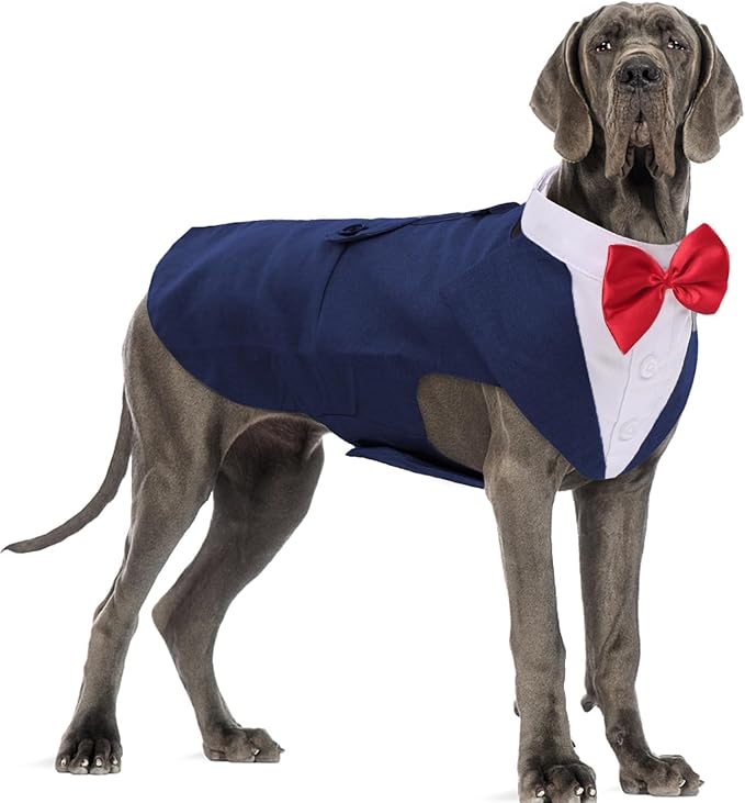 DORA BRIDAL Dog Tuxedo for Large Dogs, Dog Suit and Bowtie, Formal Dogs Wedding Outfit, Pet Tuxedo and Bandana Set Valentines Birthday Christmas Party Costumes for Labrador,Golden Retriever, Blue, L