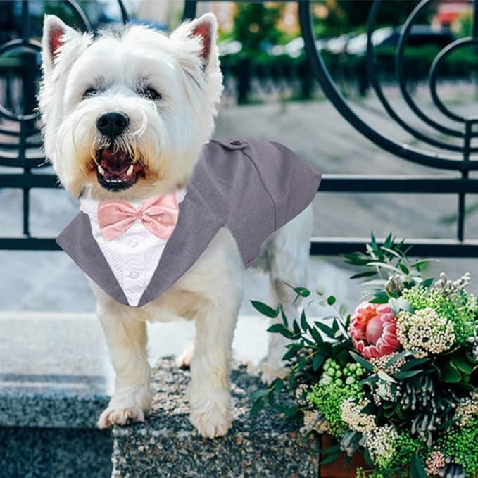 QBLEEV Dog Tuxedo Suit with Bow Tie, Formal Gentleman Dog Tux Costume and Bandana Set for Wedding Outfit Birthday Party Cosplay Photo Shoot, Doggy Prince Attire for Maltese Dachshund Corgi Beagle