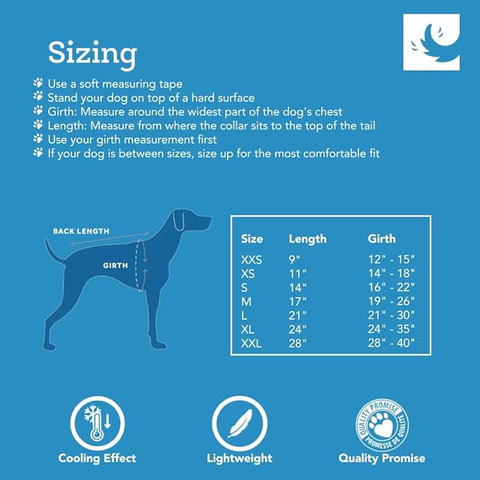 RC Pet Products Zephyr Cooling Vest, Extra Extra Small, Aqua (XX-Small, Waves)