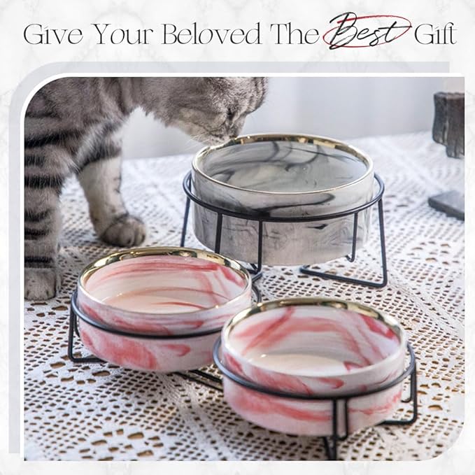 Dazzling Ceramic Elevated Cat Bowls, Raised Dog Pet Cat Food Water Bowl for Indoor (Grey, Large)