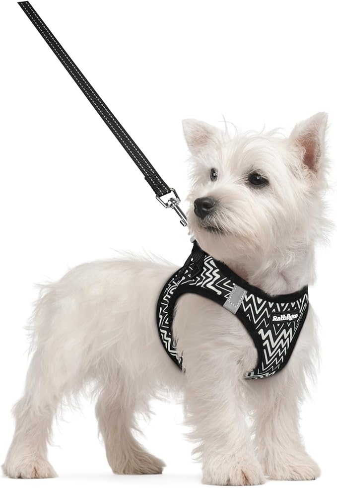 rabbitgoo Dog Harness Small Sized and Leash Set, Step in Soft Light Puppy Vest, Breathable Mesh Pet Harness, Reflective for Safe Easy Walking, Blach Zigzag S