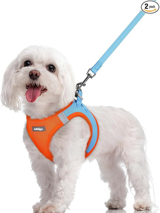 rabbitgoo Dog Harness Small Sized and Leash Set, Step in Soft Light Puppy Vest, Breathable Mesh Pet Harness, Reflective for Safe Easy Walking, Blue & Orange M