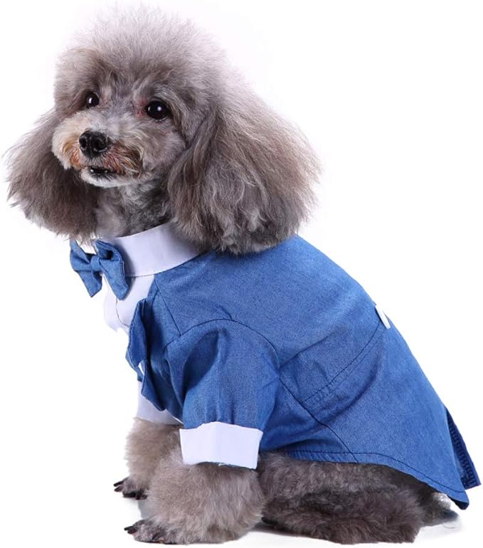 GabeFish Pets Wedding Jackets Suit for Dogs with Bow Tie Puppy Cat Formal Clothes Shirt Tuxedo (Blue, M (Chest 15.3in/39cm)