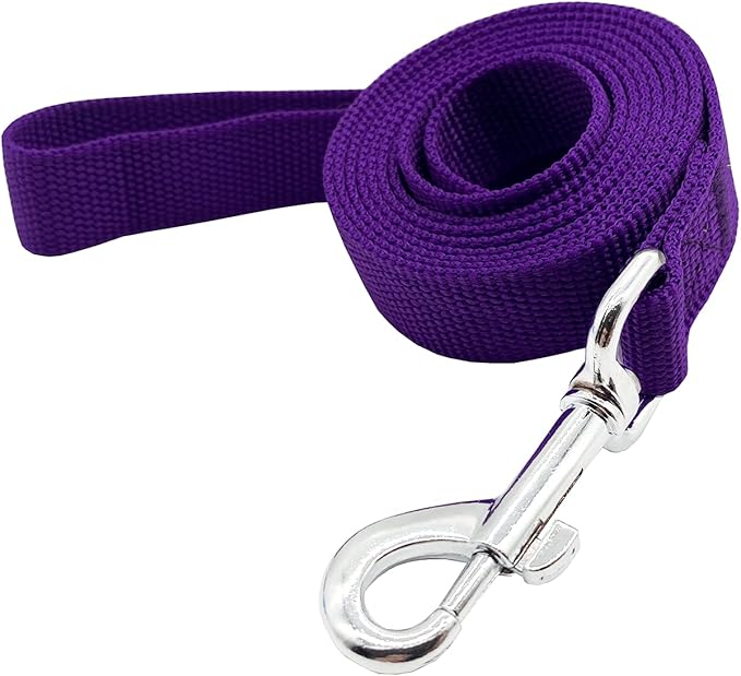 Nylon Dog Training Leash, Traction Rope, 4/5/6 Feet Long, 3/4 Inch 1 Inch Wide, for Small and Medium Dogs (1'' x 5 FT, Purple)
