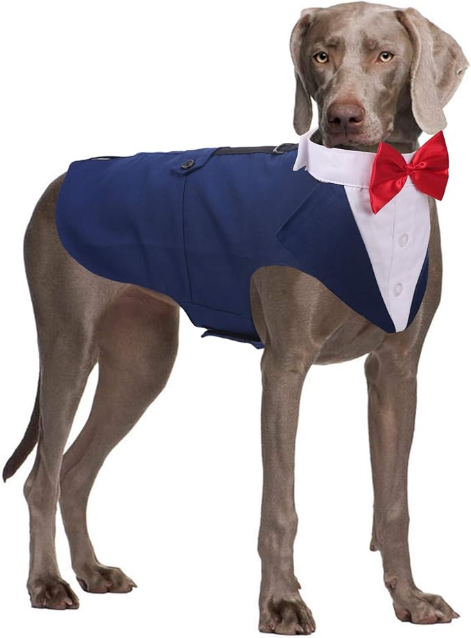 QBLEEV Dog Tuxedo Suit with Bow Tie, Formal Gentleman Dog Tux Costume and Bandana Set for Wedding Outfit Birthday Party Cosplay Photo Shoot, Doggy Prince Attire for Siberian Husky Border Collie