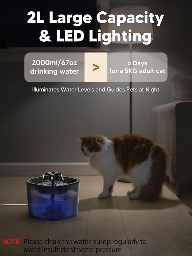Cat Water Fountain with Detachable Tank, 2L