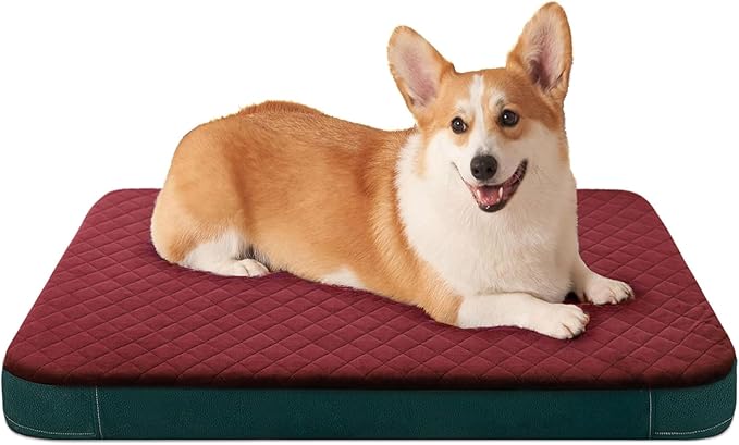 Dog Bed for Medium Dogs, Orthopedic Foam Dog Bed, Joint Relief Pets Sleeping Mattress, Non Slip Bottom with Washable Removable Cover, Wine Red