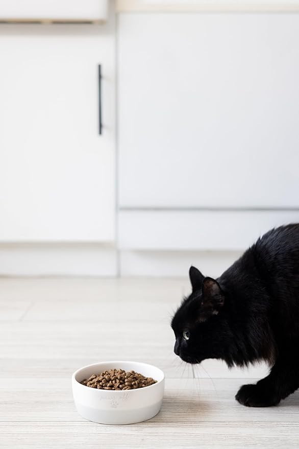 Pearhead Paws Off Ceramic Cat Bowl, Holds 1.3 Cups, Small Food and Water Bowl for Cats, Pet Dish, Microwave and Dishwasher Safe (Pack of 2)