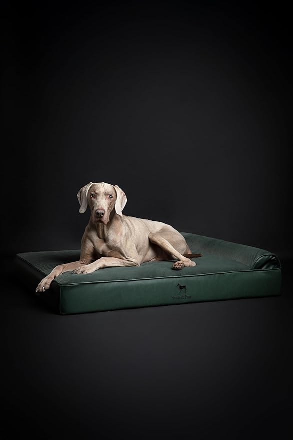 NOAH & PAW XL Dog Bed, 45x35x9.1 Inch, Orthopedic Large Dog Beds, Eggshell Memory Foam Infused with Cooling Gel, Waterproof, Machine Washable, Includes Inner Cover (Faux Leather)
