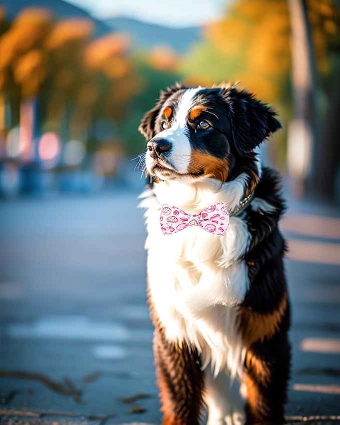 PET SHOW 10 Pack Big Dog Bow Ties for Large Medium Dogs Sliding Collar Attachments Daily Bowties Multiple Styles Cute Summer Bowknots Wedding Party Holiday Pet Grooming Accessories(Large)