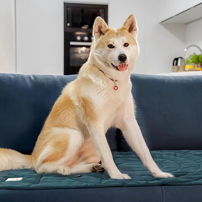 Travel Dog Bed | Camping Dog Bed | 37.4"x25.6" Waterproof Outdoor Dog Mat | Portable Place Mat for Dogs with Handle | Machine Washable | Easy Clean for Outdoor Adventures (Blue, Medium)