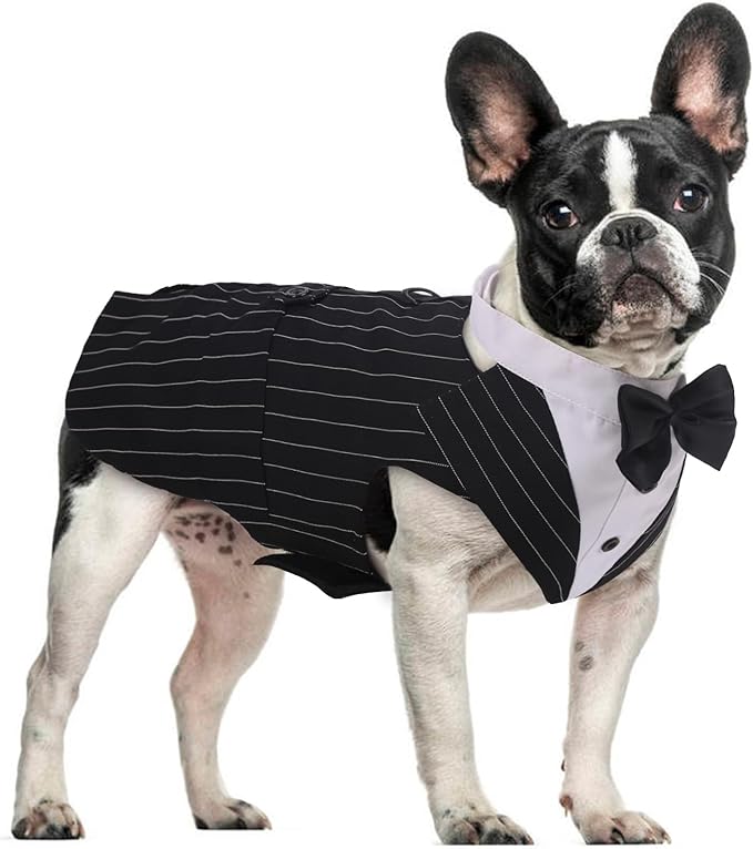 DORA BRIDAL Dog Tuxedo for Small Dogs,Dog Suit and Bowtie, Formal Dogs Wedding Outfit, Pet Tuxedo and Bandana Set Valentines Birthday Christmas Party Costumes for French Bulldog, Pomeranian, Striped,S