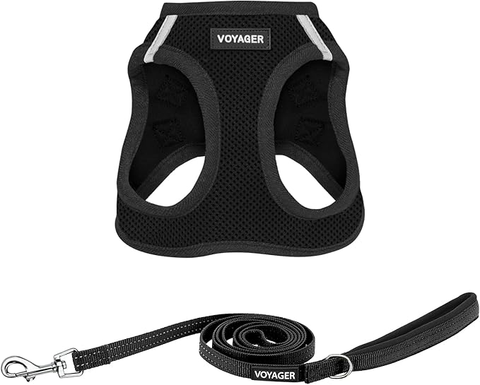 Best Pet Supplies Voyager Step-in Air All Weather Mesh Harness and Reflective Dog 5ft Leash Combo with Neoprene Handle, for Small, Medium and Large Breed Puppies - Set (Black), XXX-Small
