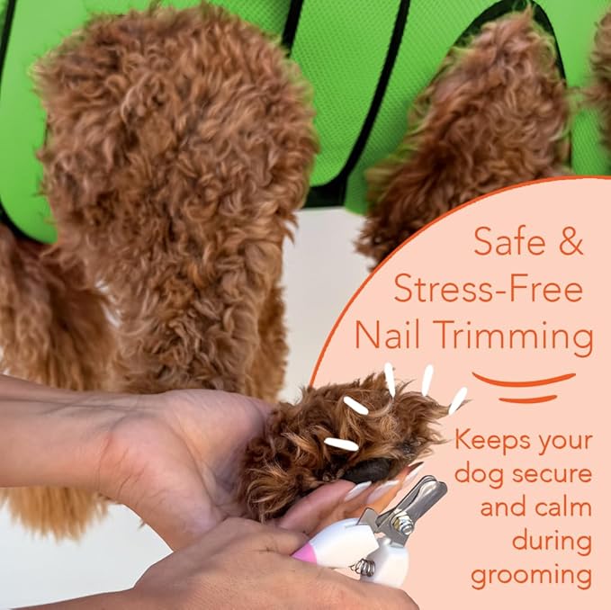 PawsUp Pet Grooming Hammock Kit for Large Dogs, 4-in-1 Professional Grooming Sling for Nail Trimming, Includes Heavy Duty Clipper, Nail File, and Steel Comb – Green