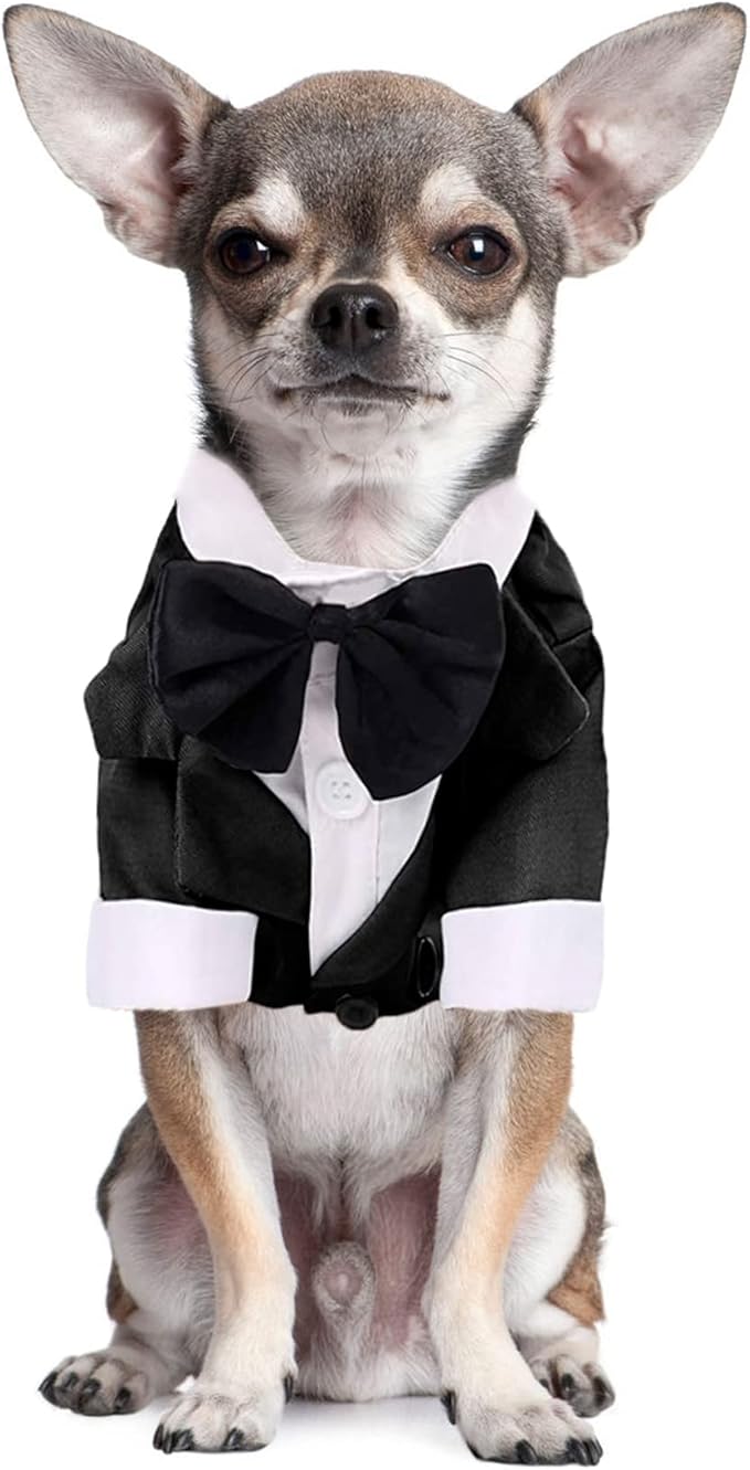 Dog Shirt Puppy Clothes, Pet Wedding Suit Formal Tuxedo with Black Bow Tie, Pet Outfit for Small Medium Dogs Cats, Pet Weding Attire Dress Up Cosplay Prince Costume Gentleman Apparel (Black, Small)