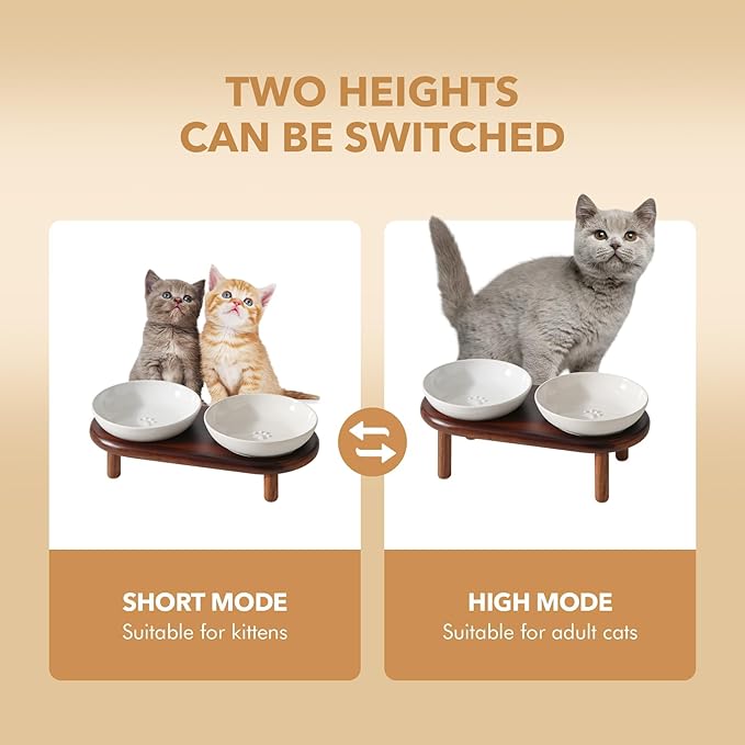 Havniva Elevated Cat Bowls Raised Ceramic Cat Bowl, 5.9” Wide Opening Cat Food Bowl Whisker Friendly Cat Dish Anti-Slip with Wood Stand, Shallow Pet Food & Water Bowl for Indoor Cats