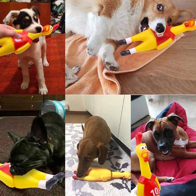 POPLAY 14 Inch Rubber Chicken for Dog Toys, Squeaky Giant Screaming Chicken Latex Dog Toys Gag Gifts Prank Noise Maker for Kids Adults Goodie Bag Fillers Basket Stuffers