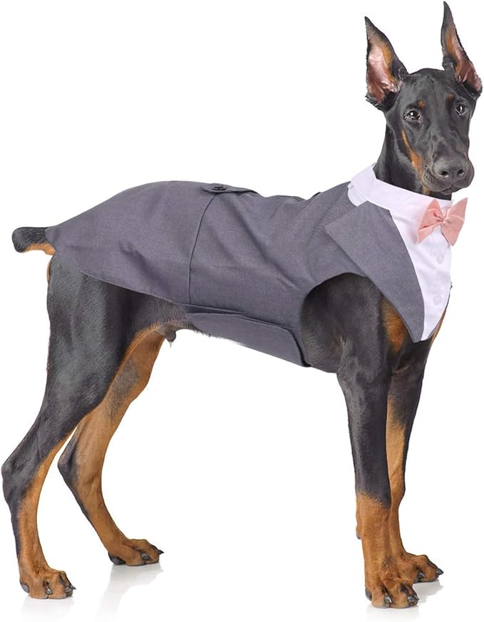 QBLEEV Dog Tuxedo Suit with Bow Tie, Formal Gentleman Dog Tux Costume and Bandana Set for Wedding Outfit Birthday Party Cosplay Photo Shoot, Doggy Prince Attire for Siberian Husky Border Collie