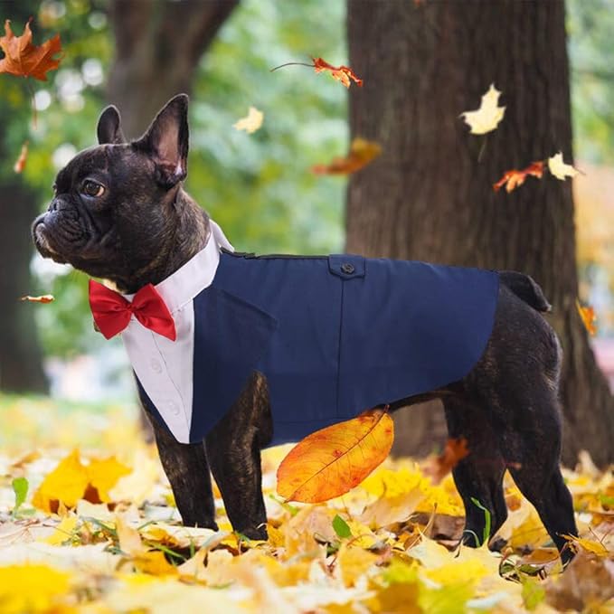 QBLEEV Dog Tuxedo Suit with Bow Tie, Formal Gentleman Dog Tux Costume and Bandana Set for Wedding Outfit Birthday Party Cosplay Photo Shoot, Doggy Prince Attire for Maltese Dachshund Corgi Beagle