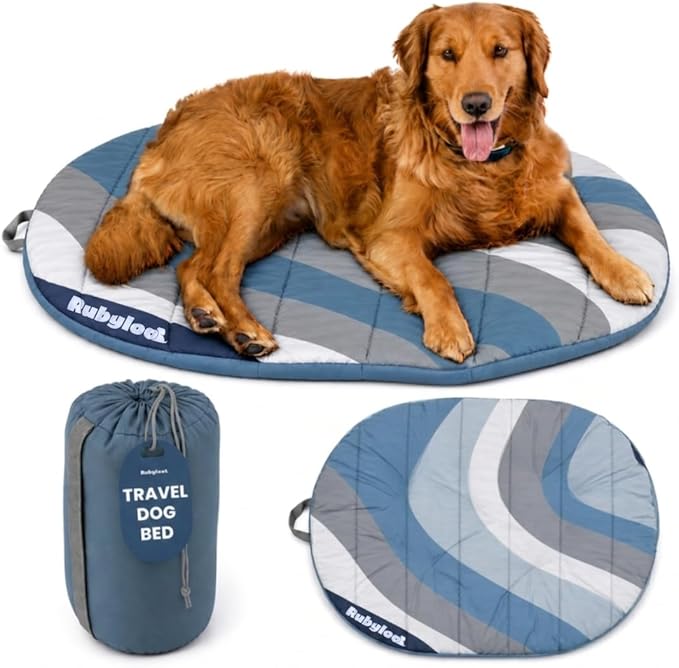 Travel Dog Bed (42" x 30") – Foldable & Packable for Travel, Road Trip, Camping – Lightweight, Water Resistant & Cozy Soft Padding – Compact, Portable & Machine Washable – Medium & Large Breeds: Blue