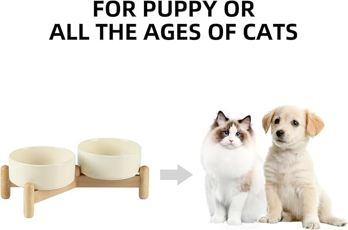 Havniva 5.1inch Ceramic Raised Dog Bowl with Stand, Double Dog Bowls Elevated for Small Breed Dog Food and Water Bowl Set Non-Slip Dog Dish Large Capacity Feeding Pet Water Bowl
