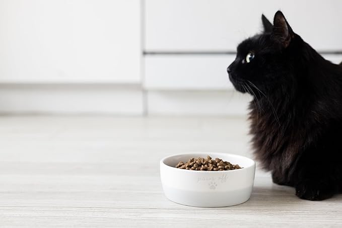 Pearhead Paws Off Ceramic Cat Bowl, Holds 1.3 Cups, Small Food and Water Bowl for Cats, Pet Dish, Microwave and Dishwasher Safe (Pack of 2)