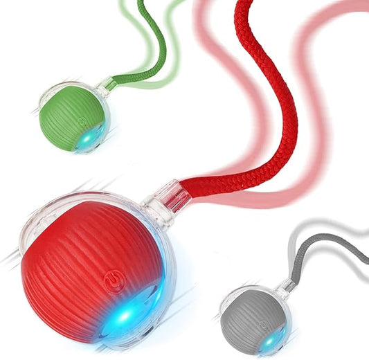 Goosheep 2025 New 3Pack Cat Ball Kitten Toys for Indoor Interactive Kitty Ball Toy Speedy Tail 360° Automatic Rolling(Red Grey Green)